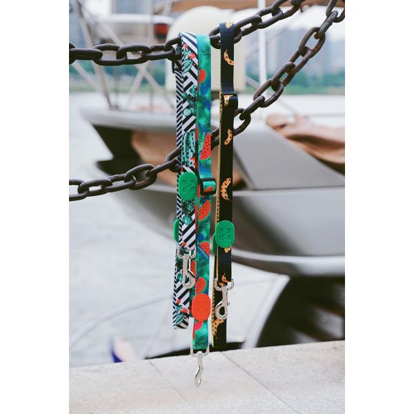 4.57m 15 Foot Sublimation Braided Nylon Rope Dog Leash Lead Running