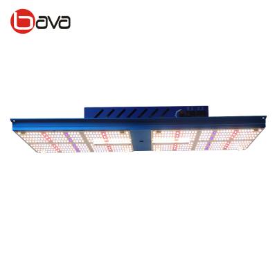 Diodo emissor de luz UV vermelho de SAA IR para crescer claro