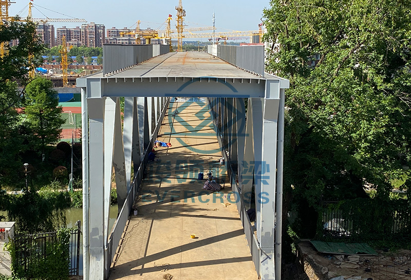 Мост из железной проволоки с композитной палубой Мост из железной дороги Мост с большим протяжением
