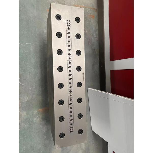Electroplating Polishing Treatment 3CR17 UPVC Hollow Panel Mold for Door and Wall Panel