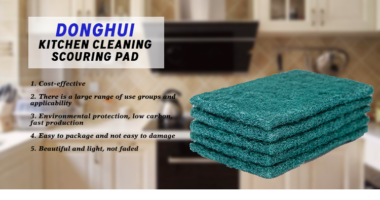 Hygienic Nylon Scouring Pad for Kitchen Cleaning