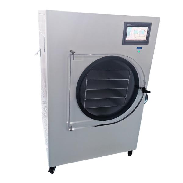 Automatic New Design Best Quality China Manufacturer Freeze Dryer Food For Sale