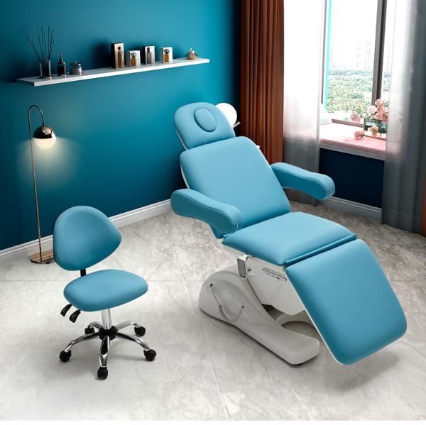 Luxury Body Massage Therapy Spa Treatment Bed Salon Beauty Electric Bed