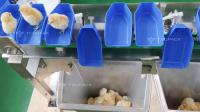 Machine d'évaluation automatique faite sur commande de dates de fruit de trieuse de poids de poulet d'ormeau de feston