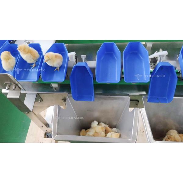 Умная автоматическая машина Weigher проверки транспортера для красного контролера веса Weigher пояса сортировщицы сосисок креветки