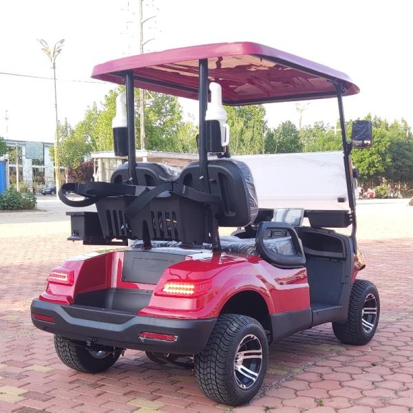 Customized Golf Cart Electric Factory Wholesale New Design 4 Wheel 2 Seater