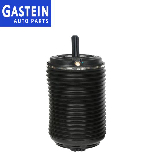 95B616002A Rear Suspension Porsche Panamera Shock Absorber