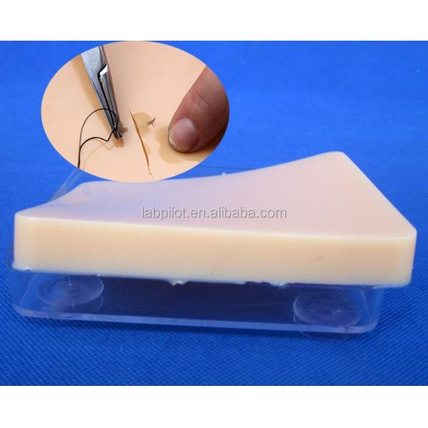 Human Life Size Suturing Training Pad Light Skin Model for Accurate Skill Improvement