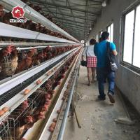 3 séries que 96 pássaros mergulham a galinha da bateria da exploração avícola prendem um tipo com o bebedor automático do bocal