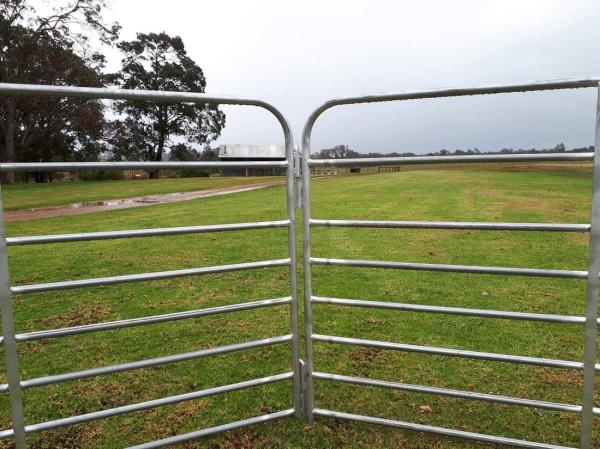 2.9mx1.25m Heavy Duty Steel Economy Pastoral Portable Sheep Yard Panels Goat Panel
