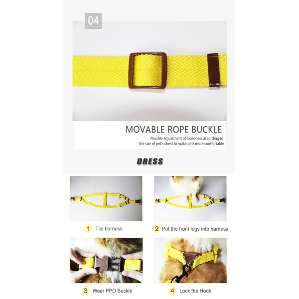 Fancy Dog Collar Harness And Leash Set For Daily Walking