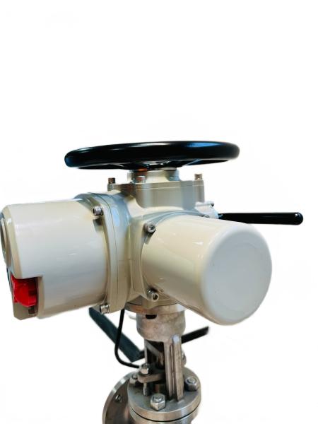 Anti Corrosion Coating Electric Straight Stroke Valve Actuator 50HZ