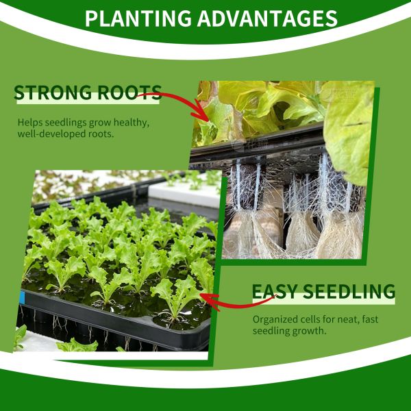 Customized 40 Cell PP Hydroponic Seedling Tray with Thickened Perforated Hydroponic Planting