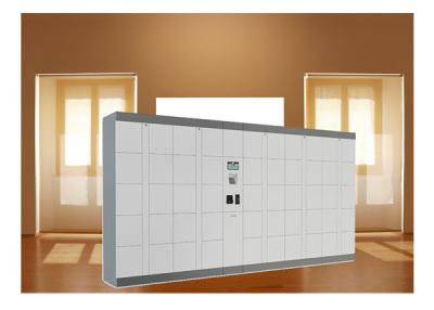 Supermarket Smart Luggage Lockers For Buggage , Package Storage Lockers With Remote