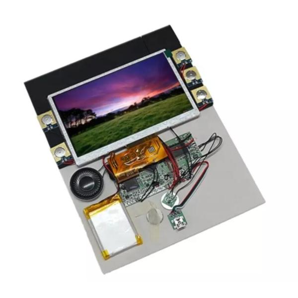 Custom LCD video player module, TFT LCD MP4 video module with 8GB memory
