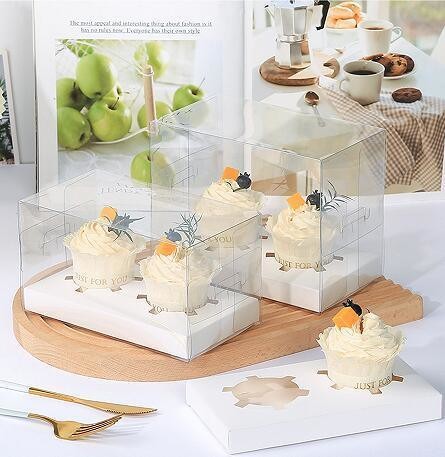 Regular Supply 2 Holders Transparent Cupcake Box with Lining and Take Away Container