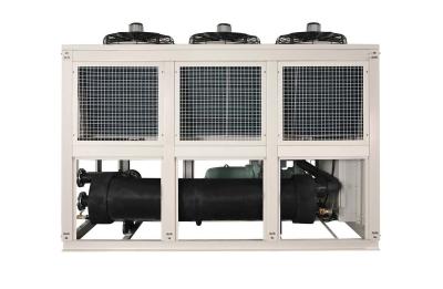Resfriador de parafuso de resfriamento de ar de 100 toneladas 100HP Máquina de moldagem por injeção Resfriador de água Compressor personalizado de cor dois