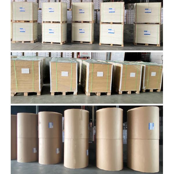 Штейновая бумага слоения фильма Штейновая бумага 128gsm 140gsm 157gsm 2 слоения фильма встала на сторону покрытое Не-лоснистое
