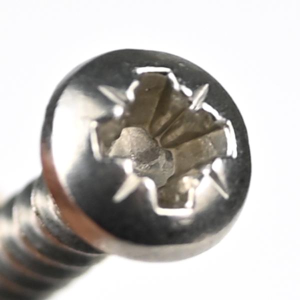 Customized Support Stainless Steel 304 A2 Pozi Drive Self Tapping Screw Cross Recessed