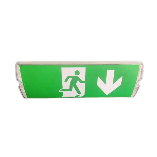 8W Rechargeable Ceiling Emergency Led Light Bulb Ceiling Mounted Model Customized L01767
