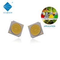 o CRI 2400-2600K alto conduziu microplaquetas da espiga   microplaqueta clara fresca de 30W Epistar