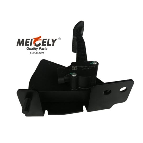 WG9725570010/3 Pedal eletrônico do acelerador para Sinotruk Howo