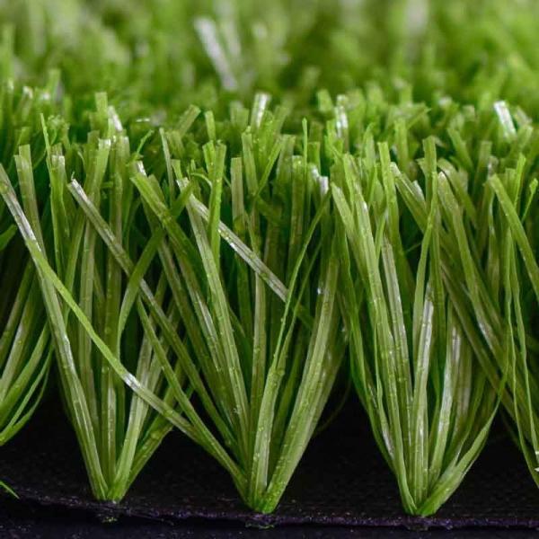 Stadium Football Synthetic Grass Mono Filament Yarn S Shape ISO9001