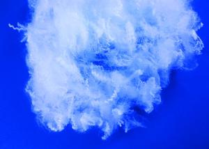 Virgin White Psf Polyester Staple Fiber Low Melt 4D*51MM Anti - Distortion
