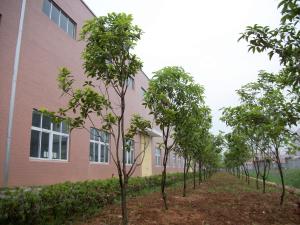 Hangzhou Peritech Dehumidifying Equipment Co., Ltd