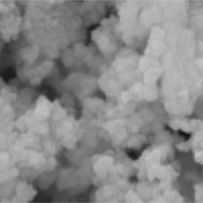 1μm 50 mg / mL 1 mL Silica Magnetic Beads For DNA Extraction