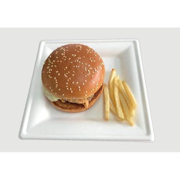 Disposable Dinnerware 10 Inch Square Sugarcane Pulp Plates