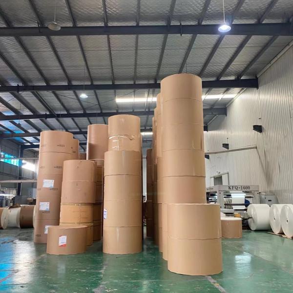 1 copo de papel lateral Matt Film Laminated material do revestimento 270gsm do PE