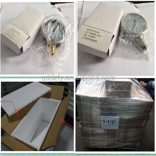 Все индикаторы давления из нержавеющей стали с фланцем одобрены CE