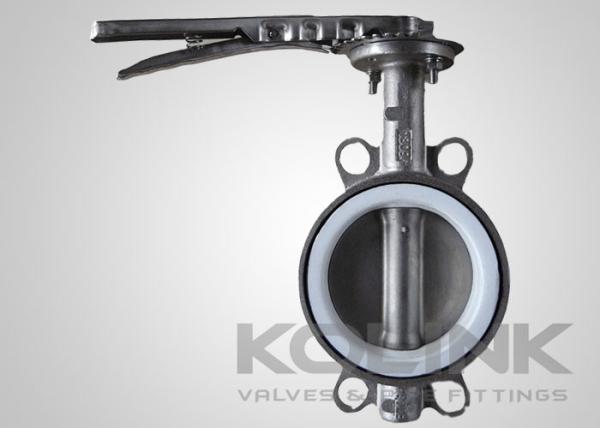 PTFE Seated Butterfly Valve Concentric 2-48 Inch Class150