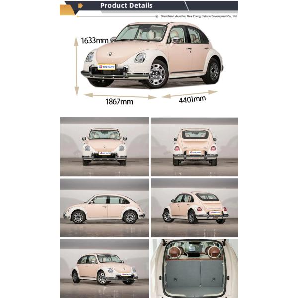 Electric Sports Car with Touch Screen and 3 Cylinders Great Wall Motors' Latest Model