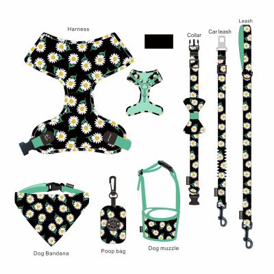 Veludo que anda Cat Harness Vest