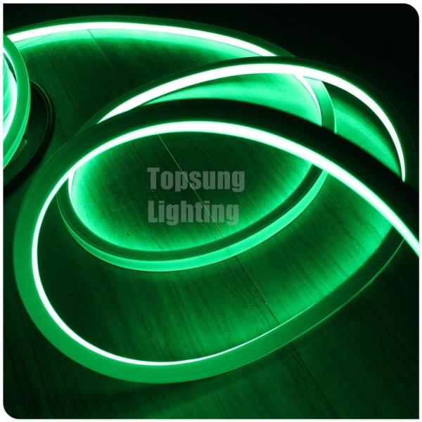 Lâmpadas de neon verde de 110V para quartos