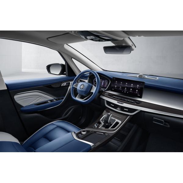 2024 Hot sales EV Electric Vehicle Maple Leaf 80v PRO Pure electric