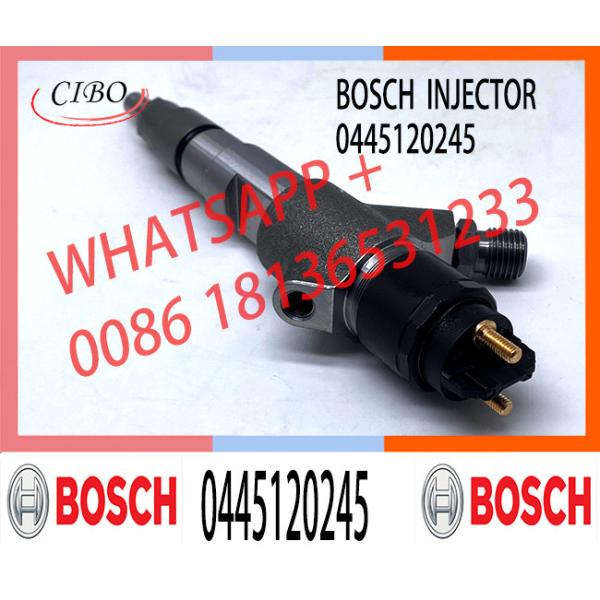 diesel fuel injector nozzle 0445120245 factory supply common rail injector 0445120245 for GAZ SADKO diesel engine assemb