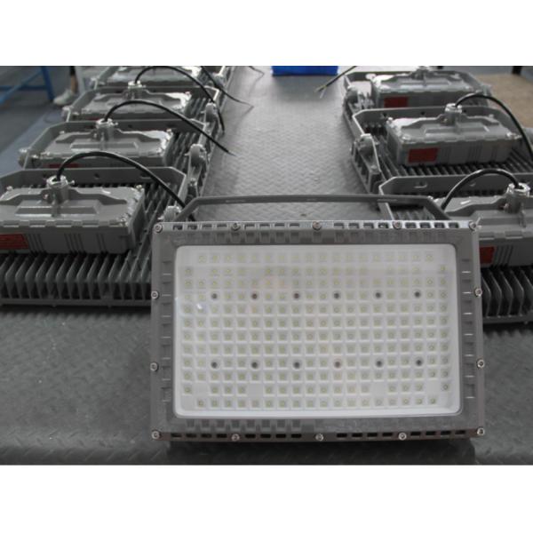 50-60Hz Rated Voltage LED Flood Light 115-130 Lm/W for Versatile Applications
