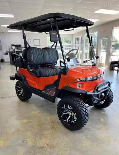4 Seater Lift Gasoline Golf Cart With Special Ac Motor 4-7kw Kids