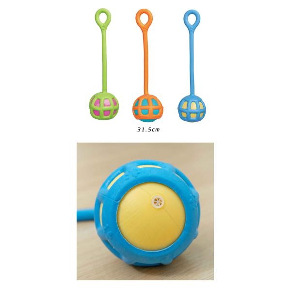 Manufacturer wholesale orange green blue chew dog tpr toys