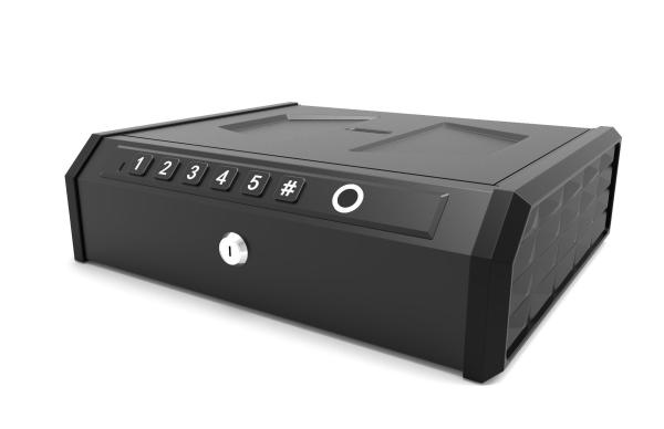 Multiple Handguns Biometric Fingerprint Quick-Access Safe with Electronic Password