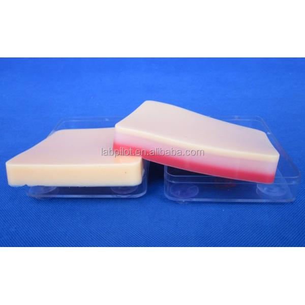 Human Life Size Suturing Training Pad Light Skin Model for Accurate Skill Improvement