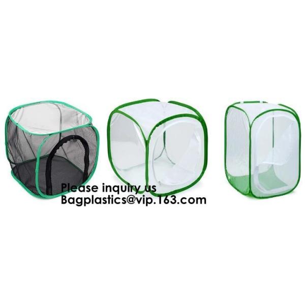 Agricultural Greenhouses for Tomato Planting,Pop-Up Tomato Plant Protector Serves as a Mini Greenhouse to Accelerate Gro