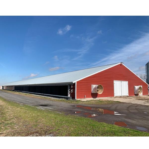 Q235B Q355B Structure en acier Poulet, bâtiment préfabriqué en acier économique