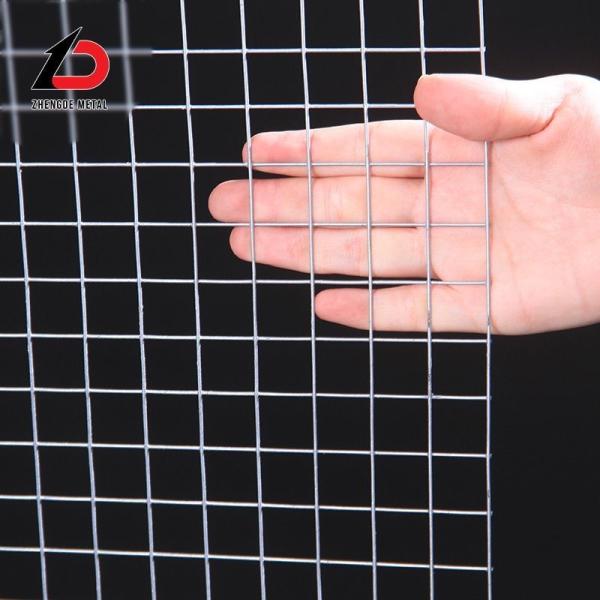0.25mm 0.5mm 0.854mm Thickness Hole Small Chicken Wire Mesh Welded
