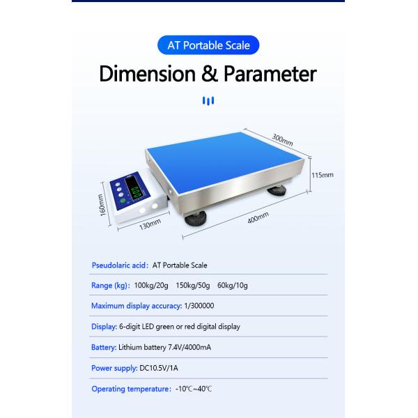 Industrial Weighing Made Easy with SOHE AT Bluetooth Scale and 6-Digit LED Display