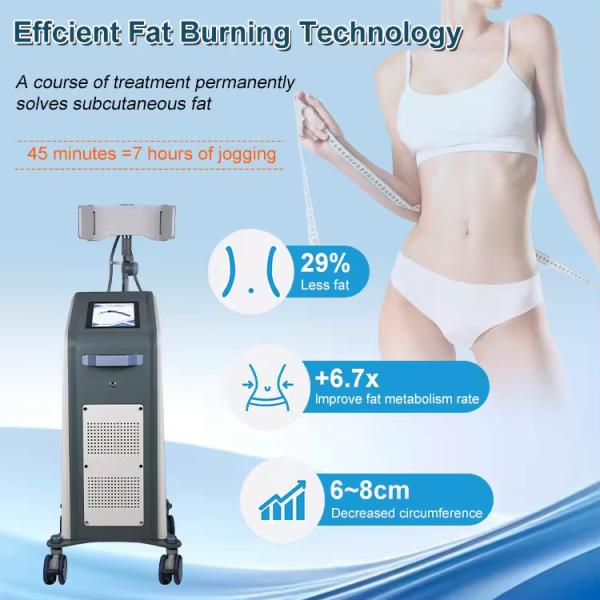 Бесконтактная площадь тела Снижение жировых отложений Скульптура тела Устройства для похудения для домашнего использования и салона красоты