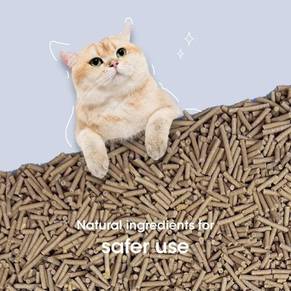 Des échantillons gratuits Arena Para Gatos Contrôle de l'odeur Encastrement du café éclaboussé Tofu Litter de chat